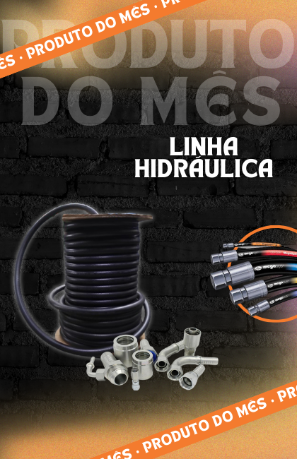 1- Promoção do mês